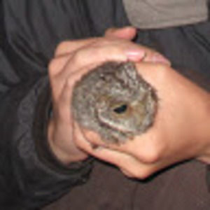 Meet your Posher, Breann